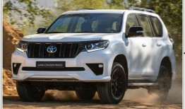 国产普拉多最新爆料图片