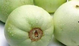 西藏网红新瓜最新爆料,揭秘幕后真相，带你走进神秘网红世界